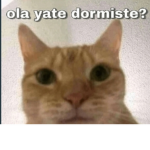 Para amigos Erick