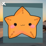 The best starfish of wish