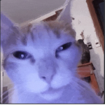 DarkCity [RolePlay]