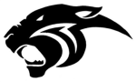 The Black Panthers