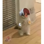 Ilove anime
