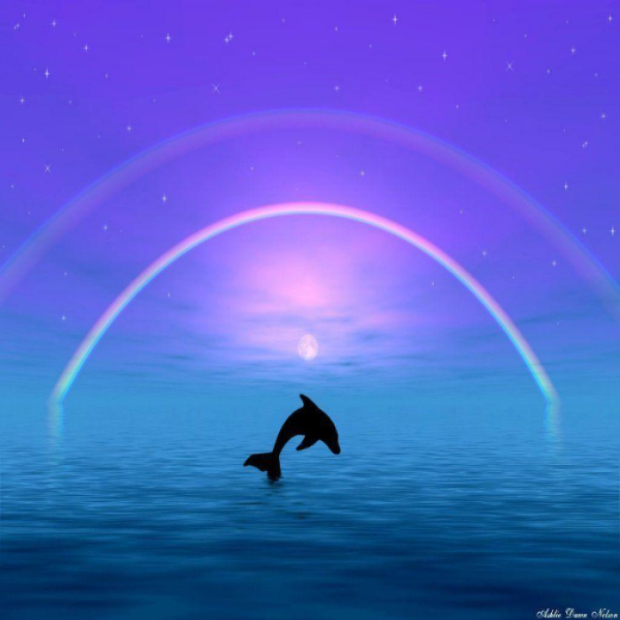 Bloxburg cute dolphin Roblox decal