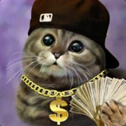 Catter Fan Game