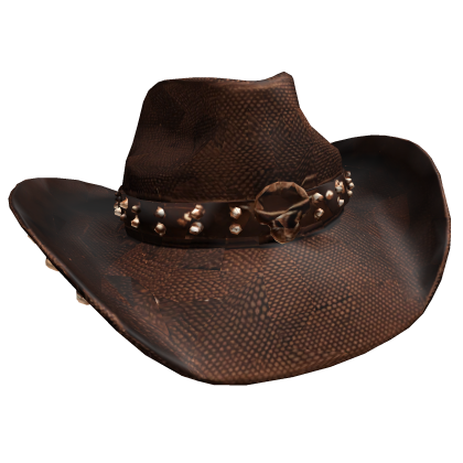 Brown Punk Cowboy Hat Roblox item