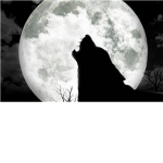 Dark Wolf  Empire