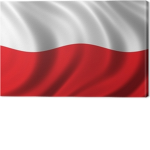 El Polscy Janusze