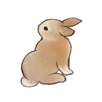 Coelhos.