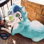 Weird Blue Folf Dog Fandom