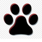 Animal_Nation