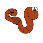 worm raidz