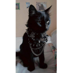 los amigos deverdad son para siempre gatito kawai
