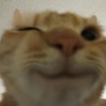 Help me make videos plis
