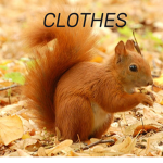 Squirrel clothes
