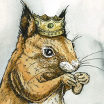 Squirrel King Studios