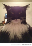 .im batman