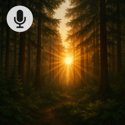 Forest Heaven 🎙️
