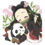 * + kny fan group + *