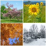 The summer,spring,winter,fall group