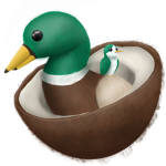 Coconut Nest