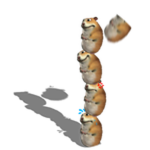 Chom-Stack