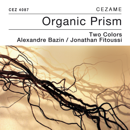 Nano Sequencing Roblox music