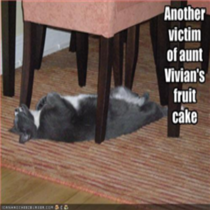 funny-pictures-your-fruitcake-killed-the-cat Roblox decal
