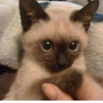 #ghoulish