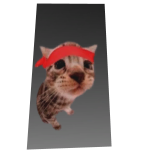 Silly cape