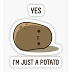 Potato familyyyy