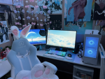 ProGamer’s Fan Squad