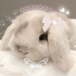 -GFX UGC GROUP- Blissie's loves