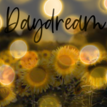 daydream designs!