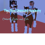 The Blue Diamond Academy