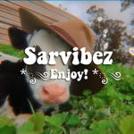 sarvibez