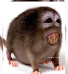 realllllllllllllllllllllllllllllllllllllllllllllll