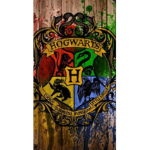 ~Harry Potter fanz~