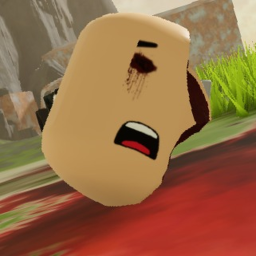 FPS first person shooter