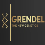 Grendel Corp