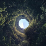 Mira Realm