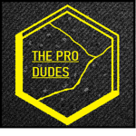 ~The pro dudes~
