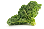 the little kale club
