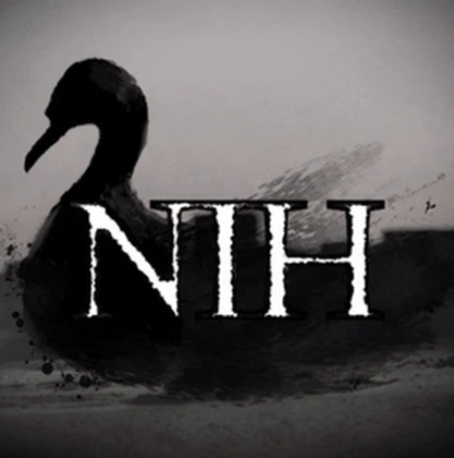 Nights In Hurricane Roblox group icon