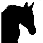 ~*Basculebrook Stables*~