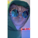 DR . CAT
