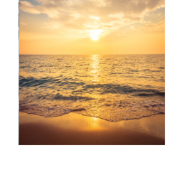 Relax by the beach