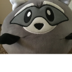 Raccoon region