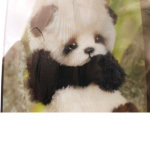 I LOVE PANDAS THEY ARE THE BESTTTTT