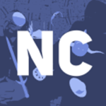 Nova Corp Market