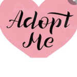 Adopt me super Duper Duper Fan Group