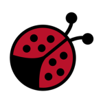 Team LadyBug